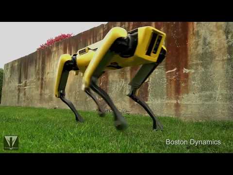 Boston Dynamic robbot