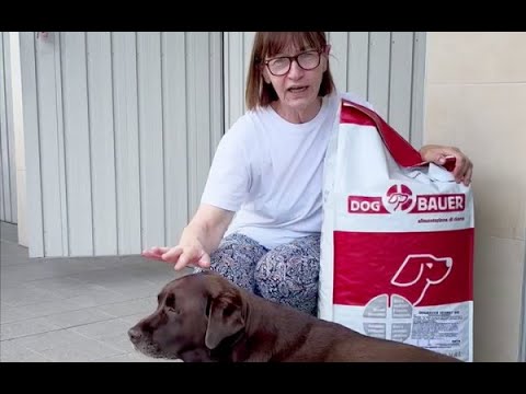 Cosa Dare da Mangiare a un Labrador? Videorecensione