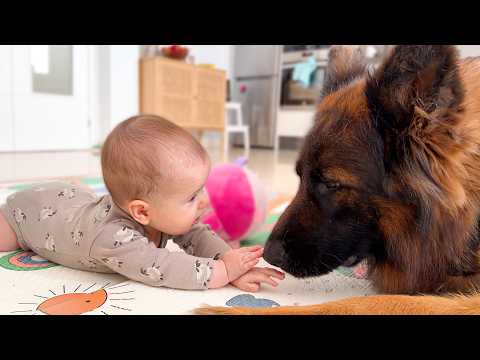 YouTube 썸네일
