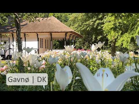 A summer visit to Gavnø Castle Park, Denmark 🇩🇰