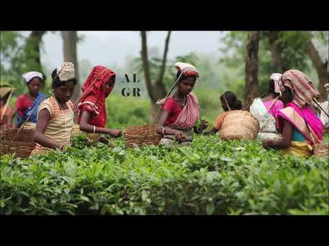 Black Coffee feat. Mbuso Khoza - Thando