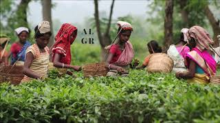 Black Coffee feat. Mbuso Khoza - Thando