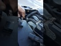 Dodge Caliber won't start or run .