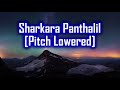 Sharkara Panthalil Karaoke Pitch Lowered