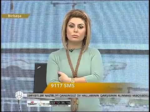 Terane Qumral Musa Musayev Nazenin Qalmaqal ANS TV Biabirciliq Dava