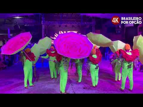 Rosas de Ouro 2024 | Lançamento do tema do enredo Ibira 70