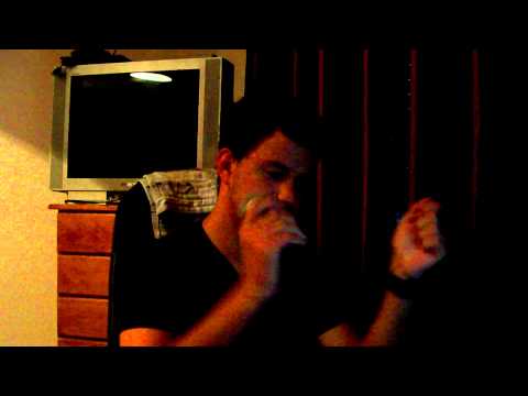 I Declare War - New Age Holocaust (Vocal cover)