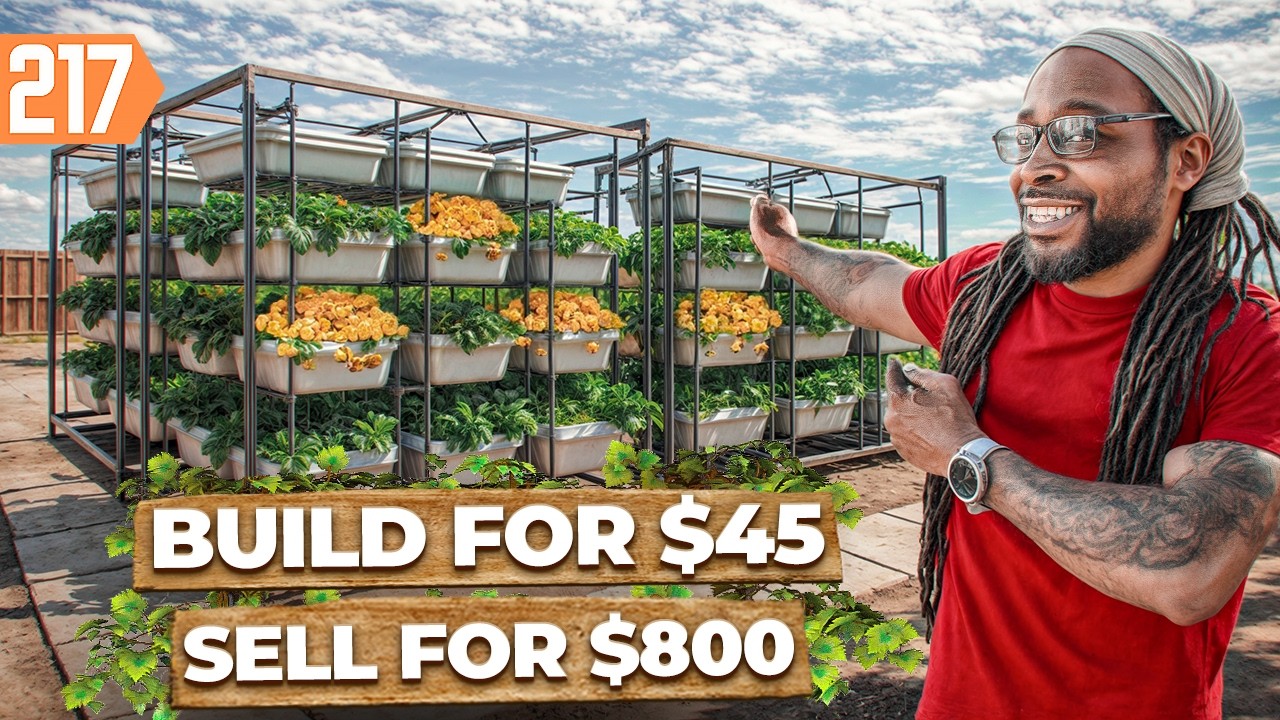 How this NASA Secret Could Turn Your Backyard Into $10K/Month