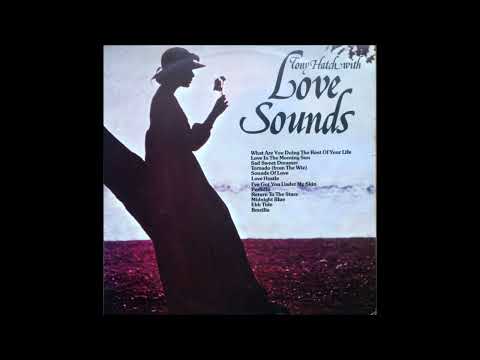Tony Hatch Orchestra - Sounds of Love