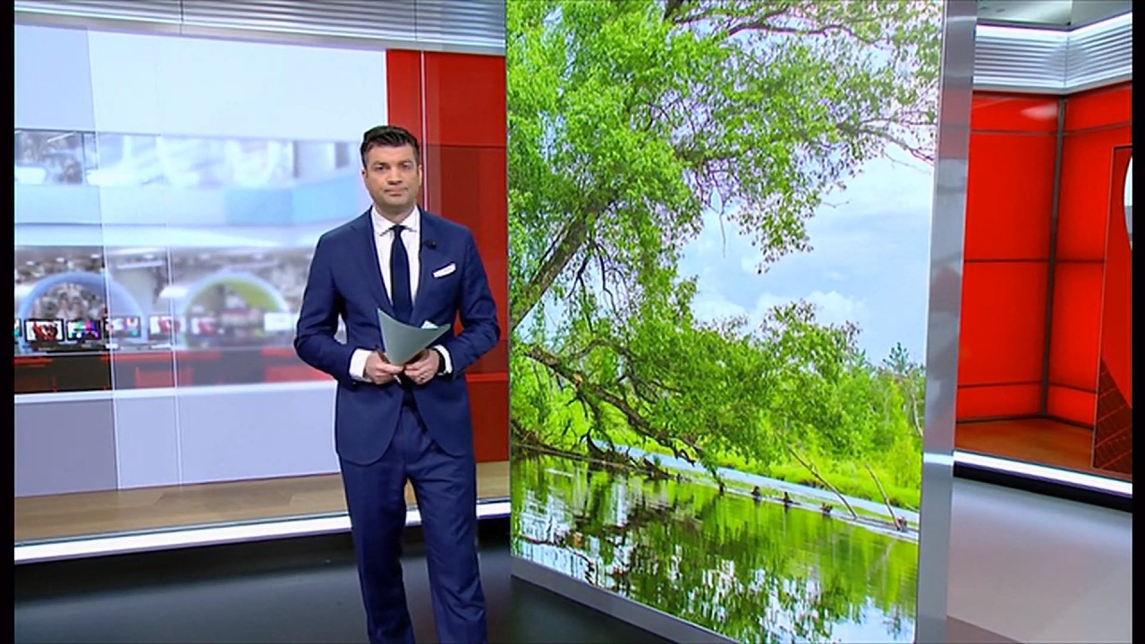 Ipbes report: Nature loss could spell extinction for businesses (Global) 9/Feb/2026