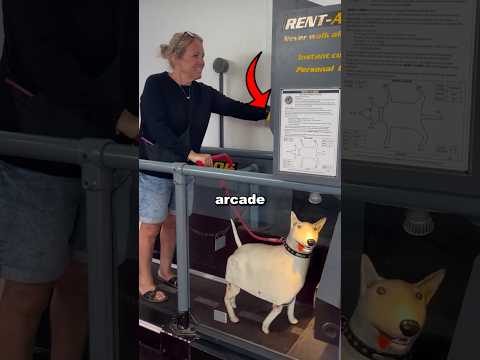 Why This Arcade Makes Fun of Dog Owners 😳