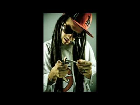 VACCA  jammaria vaccaman