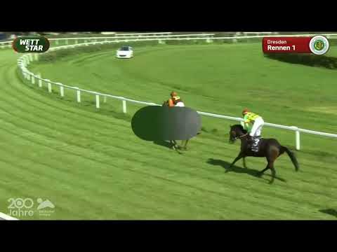 Galopprennbahn Dresden   24 09 2022   - 1.Rennen