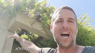 צמחים פורחים וריחניים לגינה