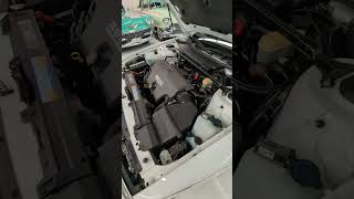 1995 Oldsmobile 98 Regency Elite Series II Startup Video