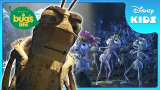 Download lagu 🐜 Grasshoppers Demand Food! | A Bug's Life | Disney Kids mp3