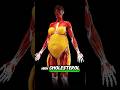 High Cholesterol Heart Attack Cholesterol Heartattack Hearthealth Shorts