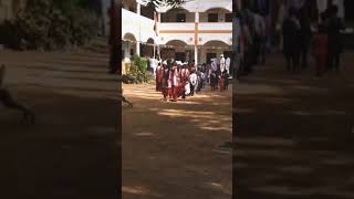 John Cena Moneky???#shorts #tiktok #challenge #trending