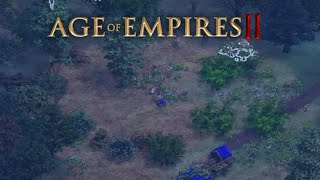 The Lone Hunter | AoE2 Ambient ASMR with Subtle Music for Pure Perfection