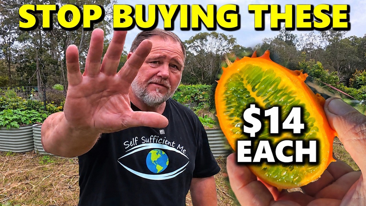 5 Expensive Crops I'm Growing EASILY & for Free Right Now