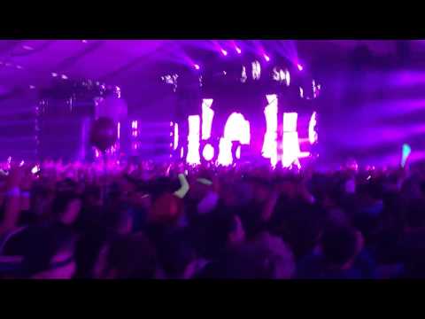 Tiesto - feed the dada