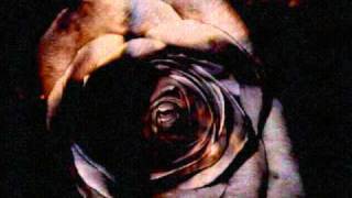 And Also The Trees - Belief In The Rose