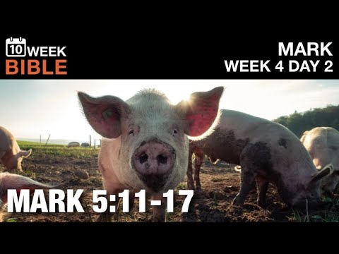 Pigs Run off a Cliff | Mark 5:11-17 | Week 4 Day 2 Study of Mark