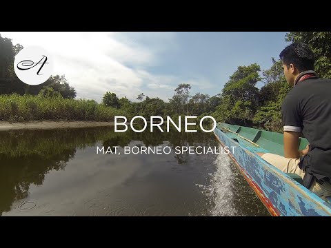 My travels in Borneo