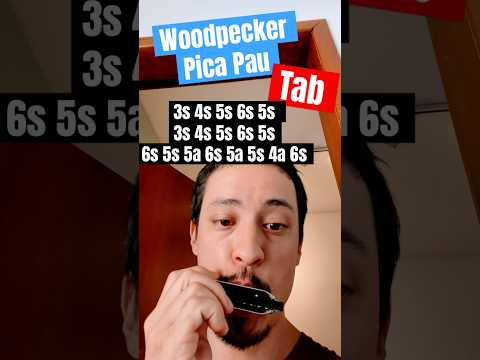 Francia 390 - Pau