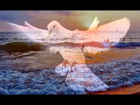 Indio Do Uruguai video