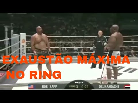 OS 2 GIGANTES MAIS CANSADOS E RESISTENTES DO MMA