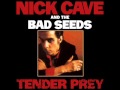 Nick Cave & The Bad Seeds - Slowly Goes The Night