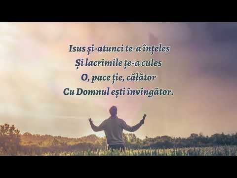 Adeseori ești trist - Frații Safra