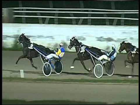 Trotto 05/01/2016 - 8° corsa