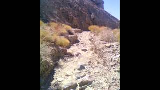 Rainbow Basin - Barstow  California