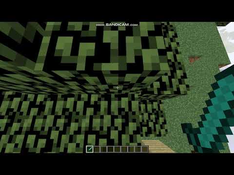 Как пишется спавнпоинт в Маинкрафте