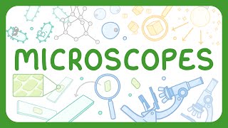 Parts of a Microscope & How to Use a Microscope