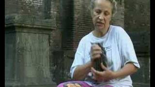 Cats of Rome - Clip 1