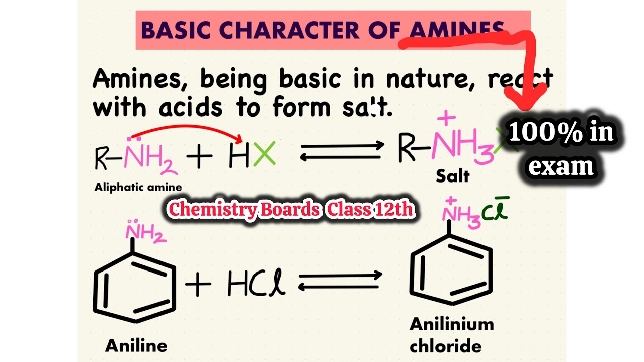 🚨Basic character of amines Class 12th🚀🔥Boards’2025 | Organic Chemistry class 12th #chemistry #boards