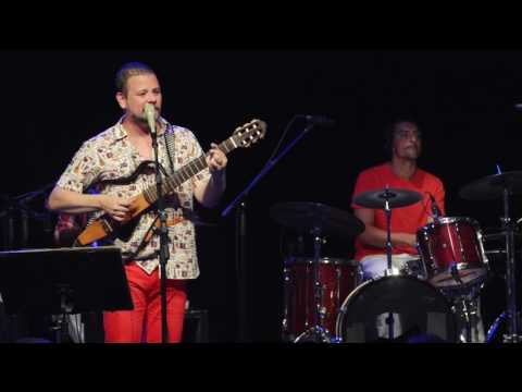 Entre Os Girassóis - Moyseis Marques