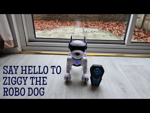 Ziggy the Robo dog Demo and Review Meet Ziggy