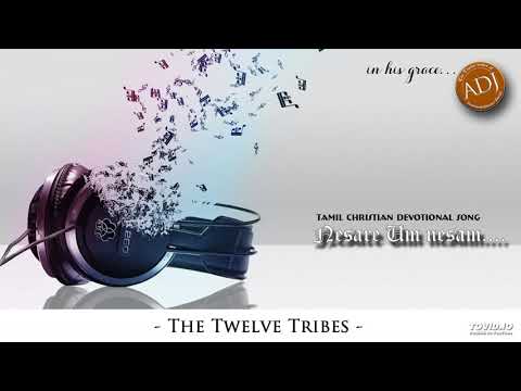 Nesare um nesam ninaikaiyil | Sangeetha Sevai 480 | The Twelve Tribes