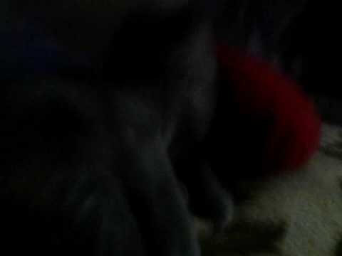 Гаснет вечер...