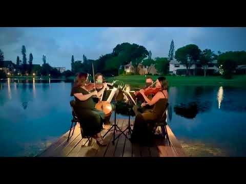 Promotional video thumbnail 3 for Eleganza Strings