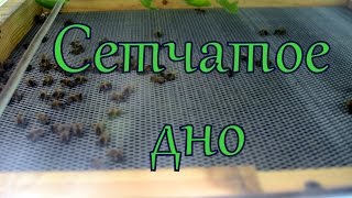 Ссылка