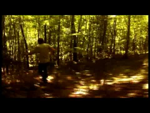 David Zimmerman - Sunset Down Under - Misc Originals