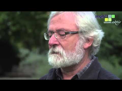 Qi Gong am Donauufer