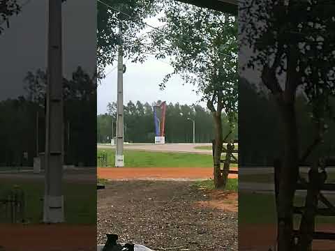 el Arpa de felix perez cardozo