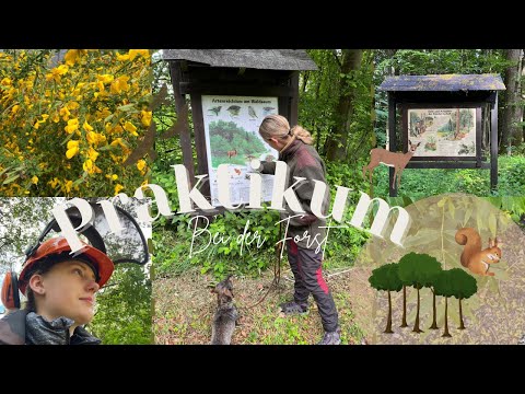 Praktikum in der Oberstufe - zwei Wochen unterwegs mit einem Förster