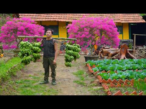 #17 Vom CEO zum Leben im Wald: Bananen und Wildgemüse ernten für Kindheitsgerichte